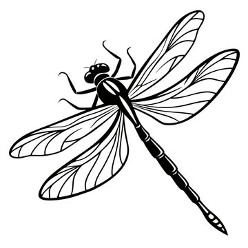 black dragonfly on white background clip art preview