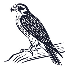 Obraz premium A majestic falcon perched on a branch