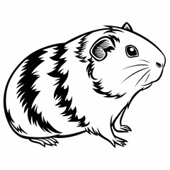 A cute guinea pig sitting on the ground