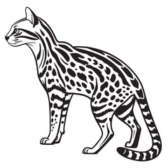 Fototapeta premium A spotted ocelot standing, illustrated in black and white