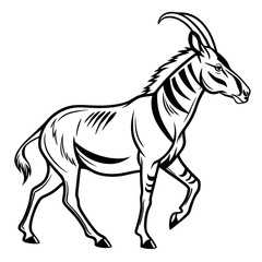 Obraz premium Antelope with striped horns walking forward