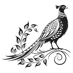 Naklejka premium Elegant pheasant bird with ornate tail feathers