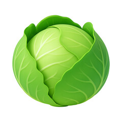 Vibrant green cabbage with smooth leaves, showcasing freshness and vitality