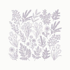 Fototapeta premium Purple outline floral botanical illustration with tulips daisies and lavender vector