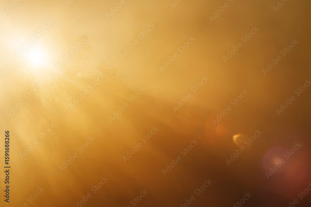Poster sunlight streams through trees creating lens flare effect. good for backgrounds, textures, or to con