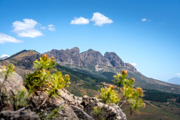 Panoramablick auf eine beeindruckende Bergkette mit grünen Hängen und Felsformationen unter blauem Himmel  mit Fokus auf Pflanzen im Vordergrund