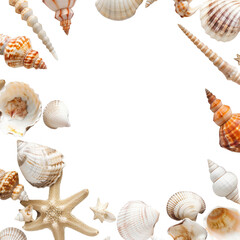 Seashells and starfish frame