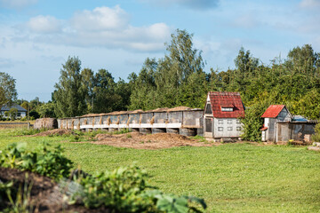 A row of rabbit cages on grass near red roofed sheds, surrounded by trees. Hay bales are visible in the distance under a bright sky with scattered clouds.
