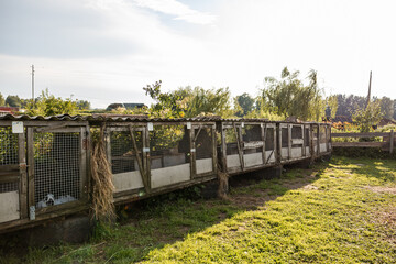 A row of weathered wooden rabbit cages with wire mesh fronts on grassy ground, surrounded by trees, bushes, and open fields under a partly cloudy sky.