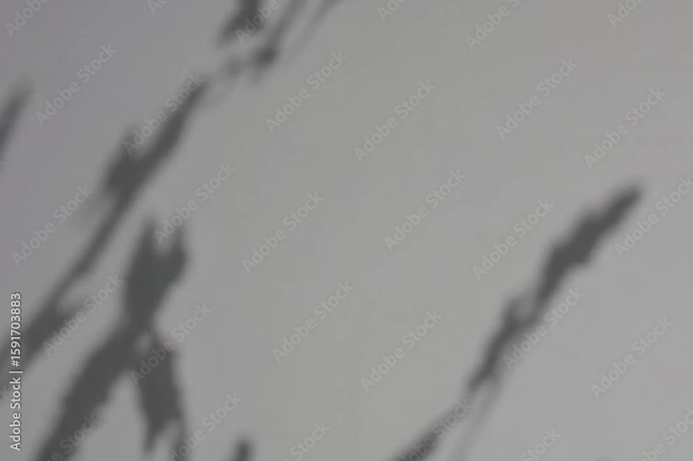 Poster shadows of plants softly cast on a neutral background, a delicate dance of light and form. the shado