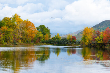 A serene lake reflects vibrant autumn trees and distant mountains under a cloudy sky, showcasing rich fall colors.