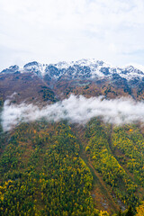 Snow-capped mountain peaks tower above lush forests with vibrant autumn yellow and green foliage, with clouds clinging to slopes.