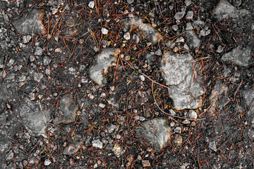 Close-up of forest ground covered with stones, pine needles, and soil. Natural texture showing a mix of organic and mineral elements.