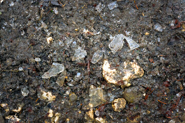 Frozen muddy forest ground with broken pieces of ice and small rocks. Close-up texture showing natural winter conditions on a woodland path.