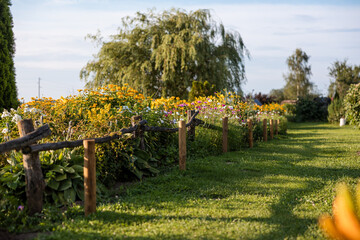 A grass pathway bordered by yellow and white flowers leads to trees, with a rustic wooden fence and a large willow tree in the middle distance.