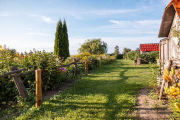 A rural pathway bordered by wooden fences and vibrant flowering plants leads to a willow tree, with a rustic red roofed structure on the right.