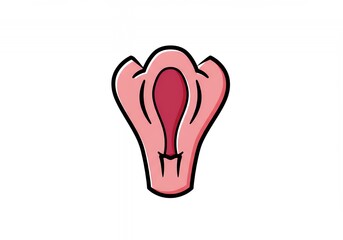 Cartoon vulva illustration with pink tones and black outline design.