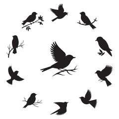 Black Bird Silhouette Icon Set | Flying Bird Shadow Vector Collection | Wildlife Clipart Pack