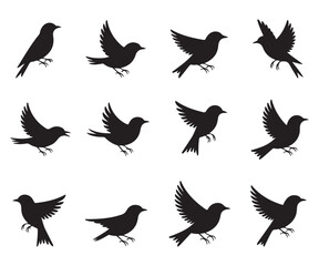 Black Bird Silhouette Icon Set | Flying Bird Shadow Vector Collection | Wildlife Clipart Pack