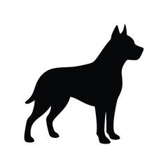 Silhouette of a muscular pit bull dog standing alert isolated on white background