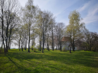 Small rural chapel hidden among spring trees on a grassy hill