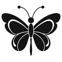 butterfly vector illustration