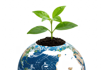 A small green plant sprouts from the earth on top of a globe, symbolizing new life and growth, isolated on white isolated on transparent background
