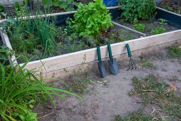 A thriving garden, brimming with fresh vegetables and essential gardening tools.