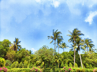 Fototapeta premium Lush tropical garden with palm trees under bright blue sky on a sunny day
