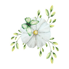 Spring flower with green branches, butterfly and leaves. Watercolor gerbera, chamomile, echinacea.Hand drawn wildflower illustration isolated on background, transparent png. Botanical and wedding
