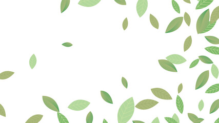 Diverse Shades of Green Leaves Fluttering Freely on a Pure White Background Symbolizing Freshness Nature New Beginnings and Tranquility Delicate Natural Frame Perfect f