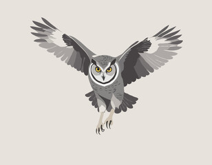 Grand hibou gris volant vers moi/Great grey owl flying towards me