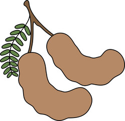 clipart vector illustration of Tamarind