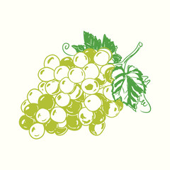 Green Grapes Line Art Doodle