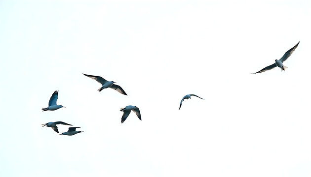Birds soaring in a bright, clear sky with scattered clouds, 4k HD image. - Powered by Adobe