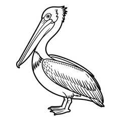 A black and white pelican illustration vector style coloring page 