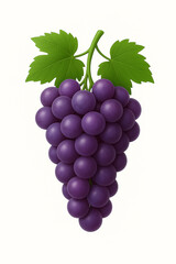Large bunch of blue grapes on white background.