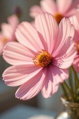 Pink flowers floral botanical background 