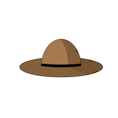 Dark brown hat