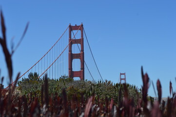 golden gate bridge san francisco
