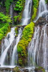 waterfall in the green forest