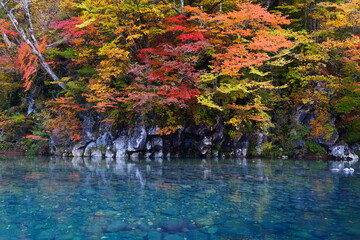 法体の滝の紅葉。由利本荘、秋田、日本。10月下旬。