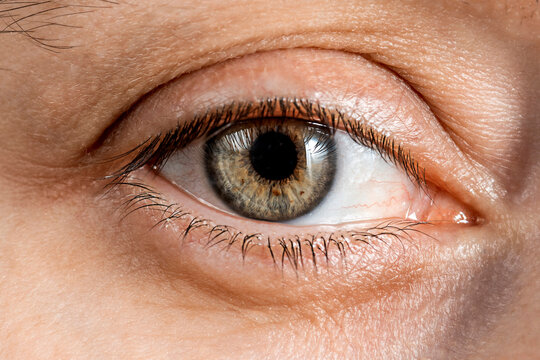 Human eye close up. Face without makeup