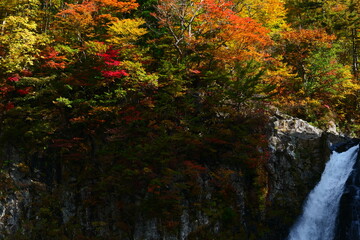 法体の滝の紅葉。由利本荘、秋田、日本。10月下旬。