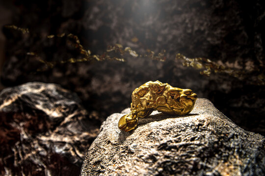 A gold vein, small pieces of gold nuggets within a rock, accumulation of gold in rocks, formed in cracks, faults, or fissures. Close up view