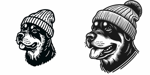 A Rottweiler Dog wear Beanie hat. Minimal Cartoon Animal Clipart Silhouette Vector Line Art Illustration. Canine in knit head covering rottie with cap pet apparel photo.