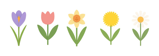 Set of minimal paper cutout illustrations of five spring flowers – crocus, tulip, daffodil, dandelion, and daisy – standing in a row on a transparent background.