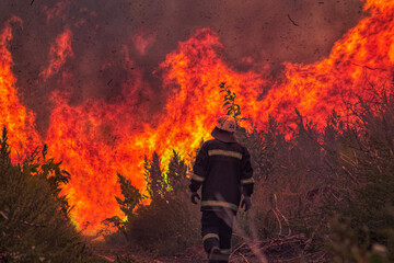A lone firefighter, seen from behind in protective gear, stands before a massive, roaring wildfire....