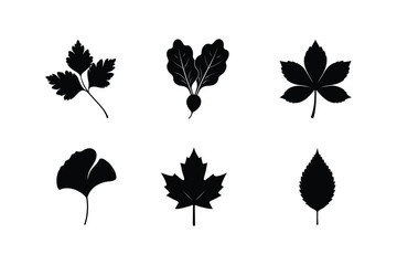 Set of leaf silhouette  vector , Black leaf silhouette  