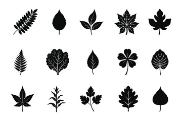 Set of leaf silhouette  vector , Black leaf silhouette  